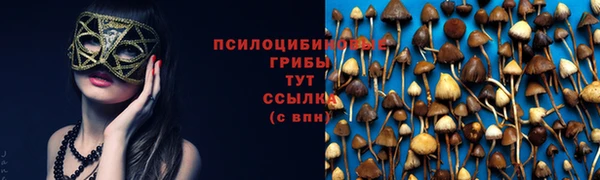 дурь Алзамай