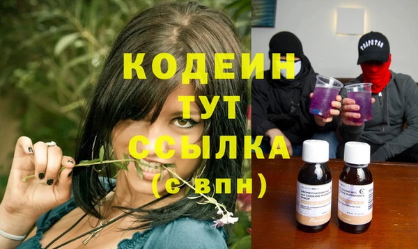 дурь Алзамай